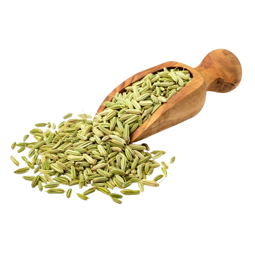 Fennel-Seeds