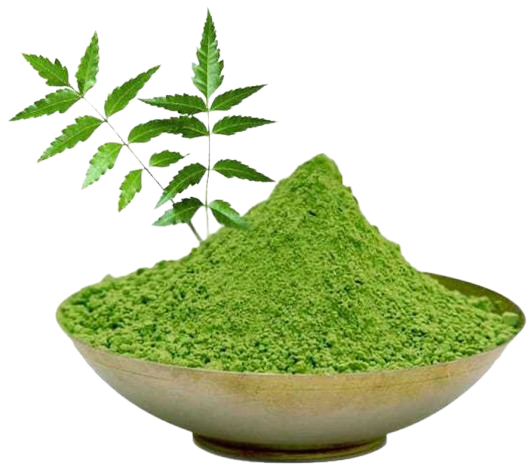 organic-neem-powder