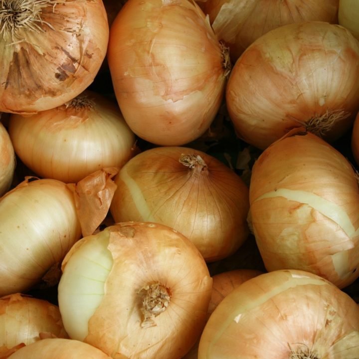 Dehydrated Onion Minced