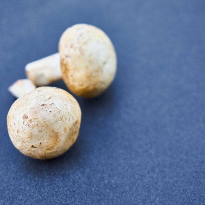 Fenugreek